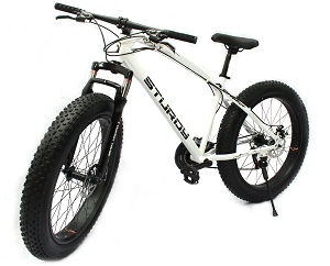 Sturdy Mountain Bike