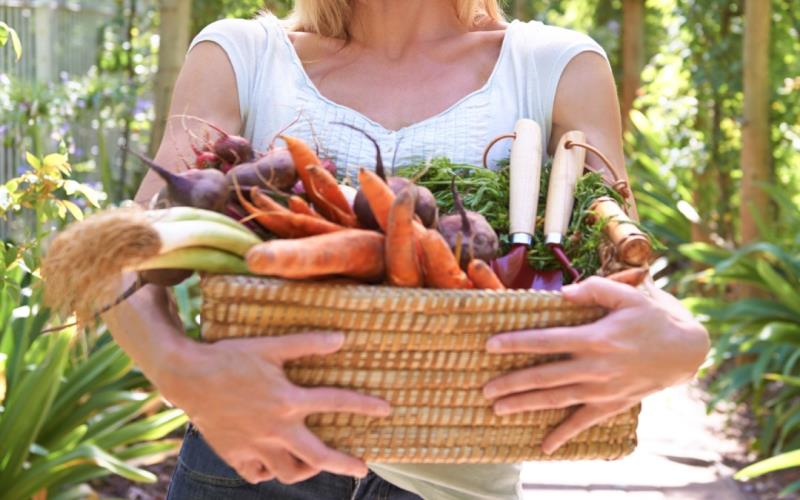 Exploring the Essentials of Medical Detoxification for a Healthier Transition